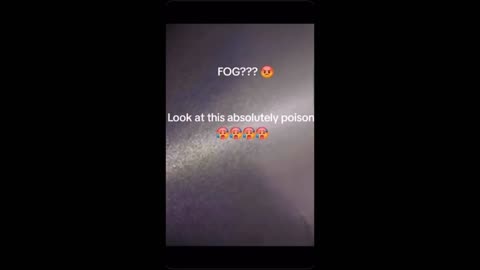 2025 FOG EXPOSED
