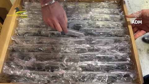 GDF GENOVA: SEQUESTRATI PRESSO IL PORTO DI GENOVA CIRCA 200 MILA PRODOTTI DI ELETTRONICA (20.02.25)
