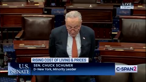 Chuck Schumer claims "Trumpflation" is Caused by DOGE