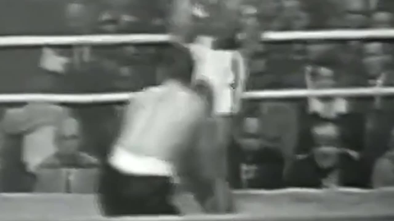 Muhammad Ali vs Alex Miteff
