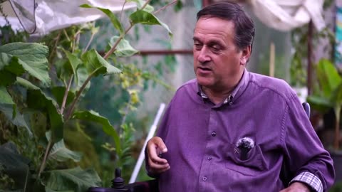 Un Vergel con 600 variedades de Plantas