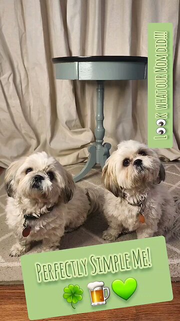 Lucky Lucille and Luna Skye present..... 🎬🍿🥤 #perfectlysimpleme 🍀🍺💚