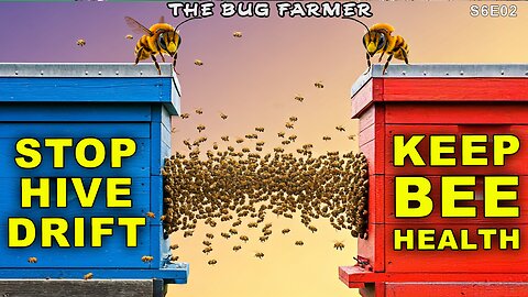 Keep Your Colonies Healthy | Stop Hive Drift.