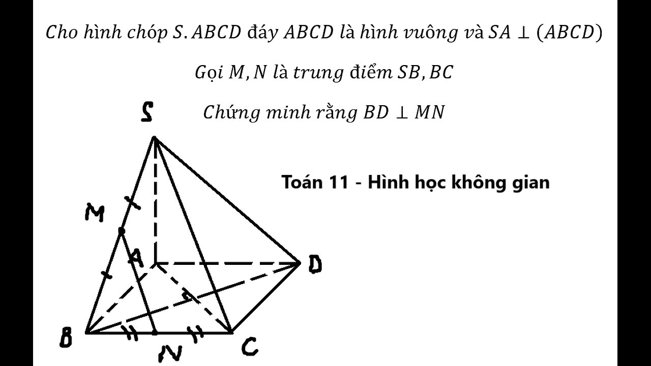 Toán 11: Cho hình chóp S.ABCD đáy ABCD là hình vuông và SA⊥(ABCD)Gọi M,N là trung điểm SB,BC