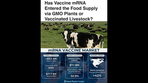 mRNA in Your Food? The Silent Infiltration of the Food Supply