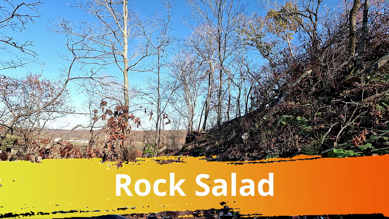 Rock Salad, Coler Mountain Bike Preserve, Bentonville