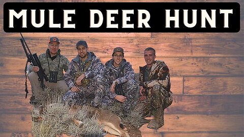 2016 Depredation Antlerless Mule Deer | Donating Meat | Christmas Deer Donation | Pheasant Hunting