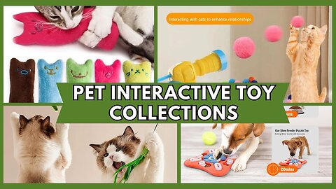 TOP Pet Experts Share BEST Interactive Toy Collections