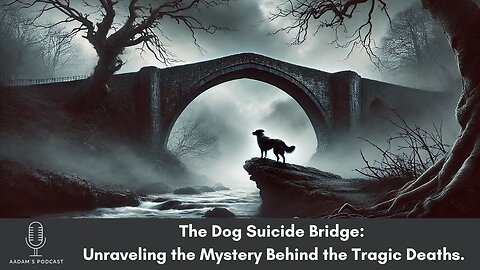 The Dog Suicide Bridge: Unraveling the Mystery Behind the Tragic Deaths. |Podcast-67