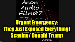 SG Anon Update 1.14.25 (File 87) - Urgent Emergency: They Just Exposed Everything! Scavino/ Trump