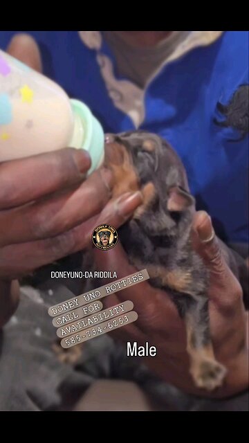 DONEY UNO -DA RIDDILA