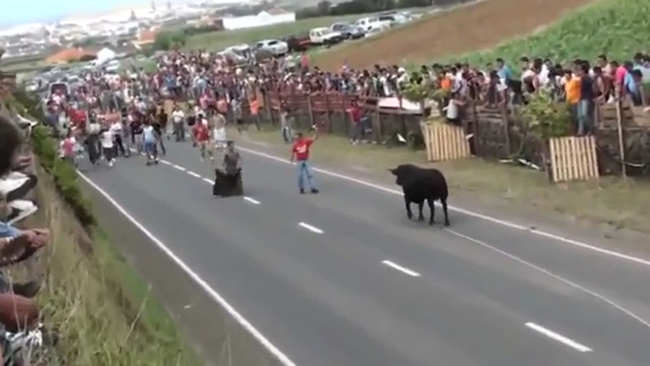 Angry Bull gives everyone a technical blow