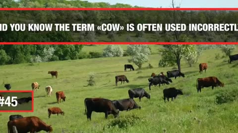 121 Unbelievable Facts That Are Actually True!