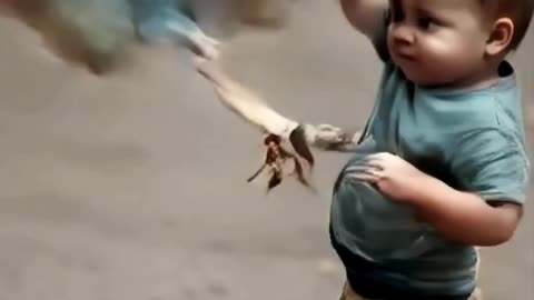 Chicken And Toddler Fighting | Ai Generated #ai #fight #chicken #toddlers #funny #humor