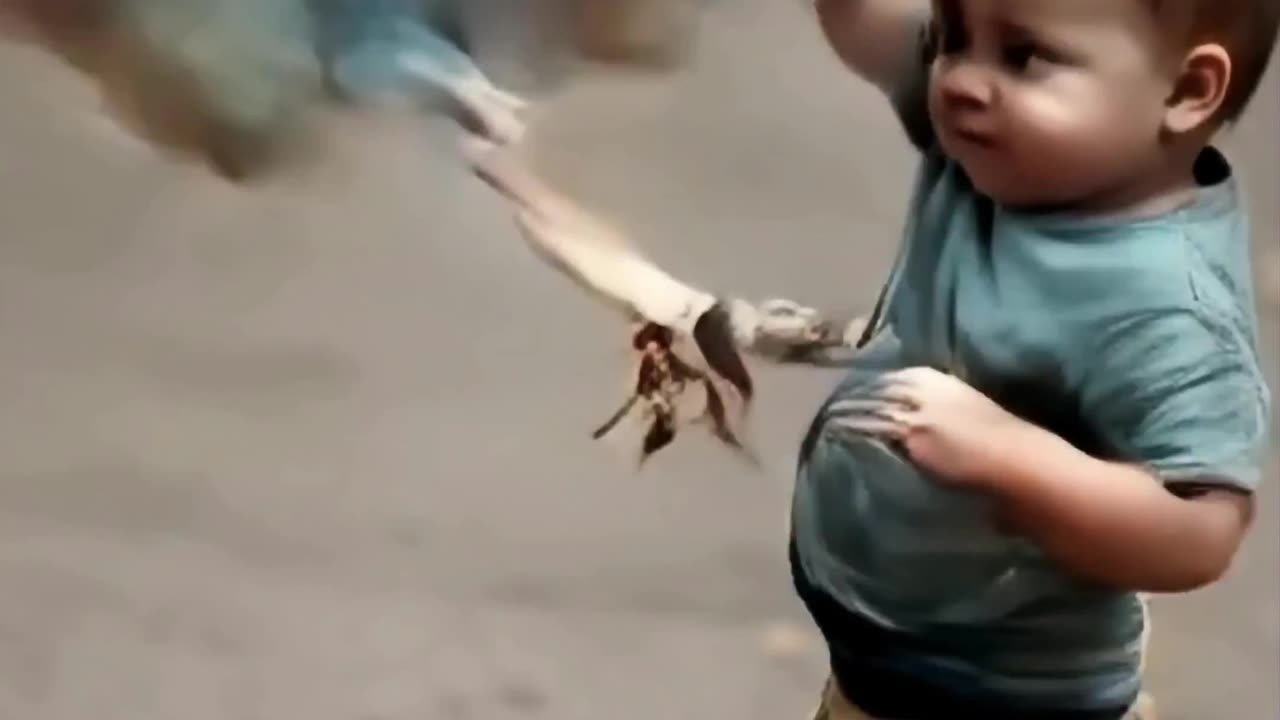Chicken And Toddler Fighting | Ai Generated #ai #fight #chicken #toddlers #funny #humor