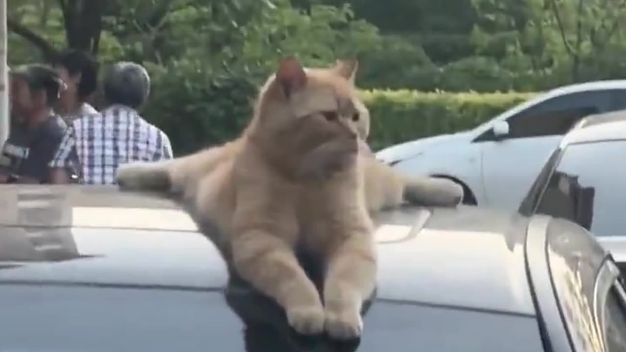 He owns the car now.. 😂