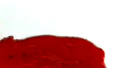 Gajar ka malpuwa recipe
