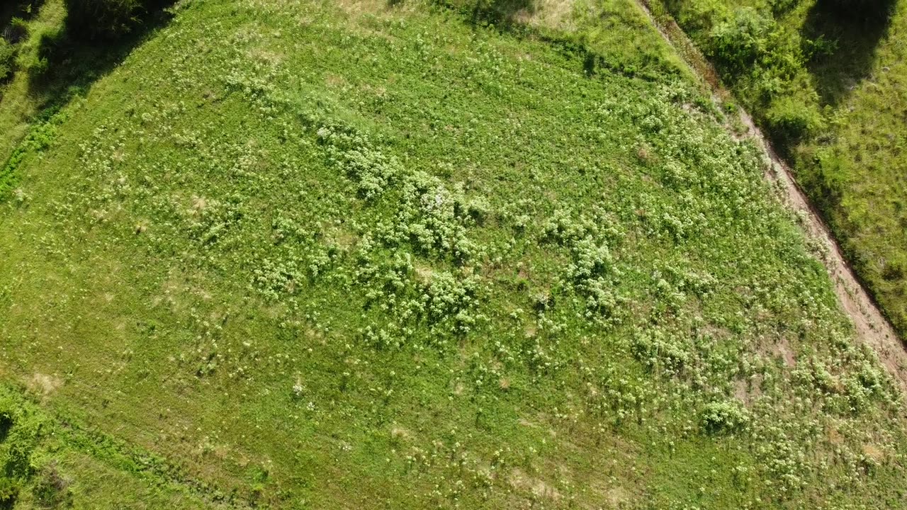 Farm Flight #1 - 6-25-2021