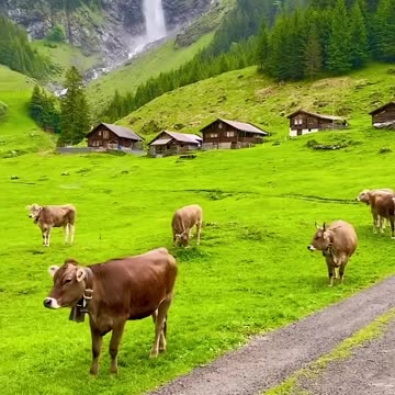 Switzerland 🇨🇭 Beautiful