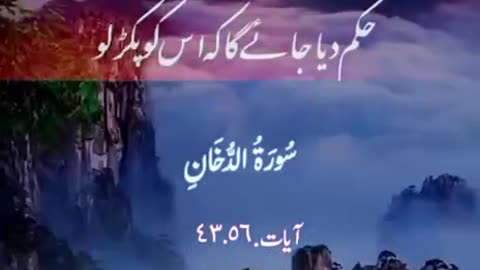 Beshak 💯♥️✨🕊️