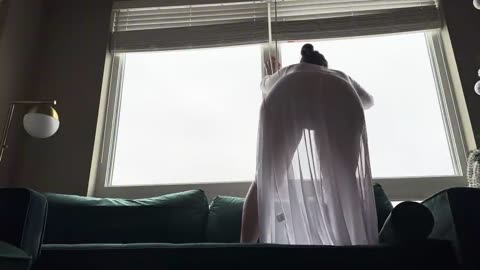 Transparent cleaning of windows