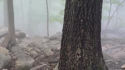 BIG HOLE AND DENSE FOG!