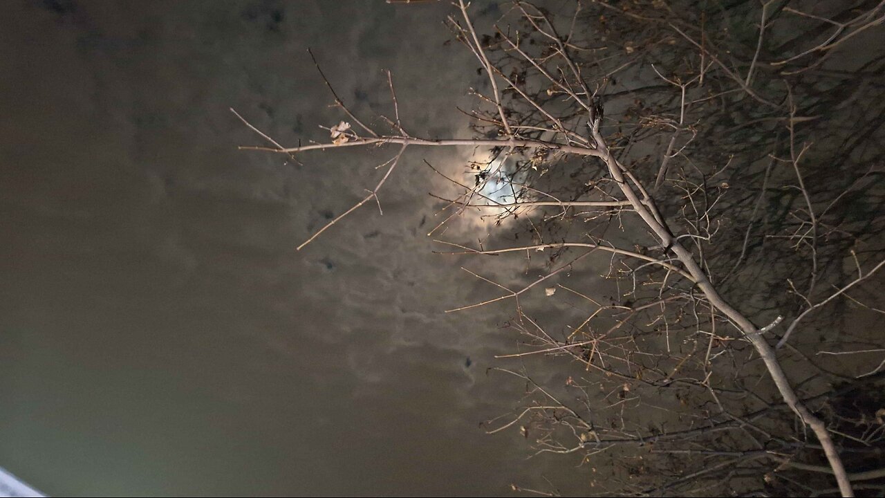 Sunday Morning, Quiet Before the Storm!