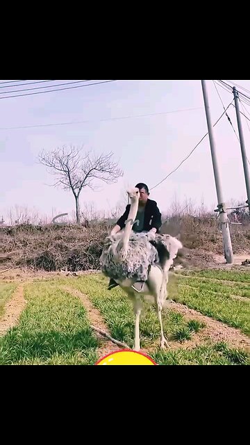 NEWSMAX2 LIVE | Real News for Real People?