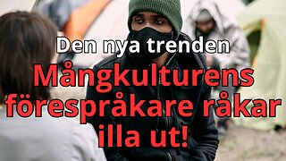 Migrantaktivister drabbas av mångkulturen - Vad leder detta till?