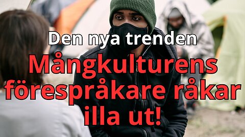 Migrantaktivister drabbas av mångkulturen - Vad leder detta till?