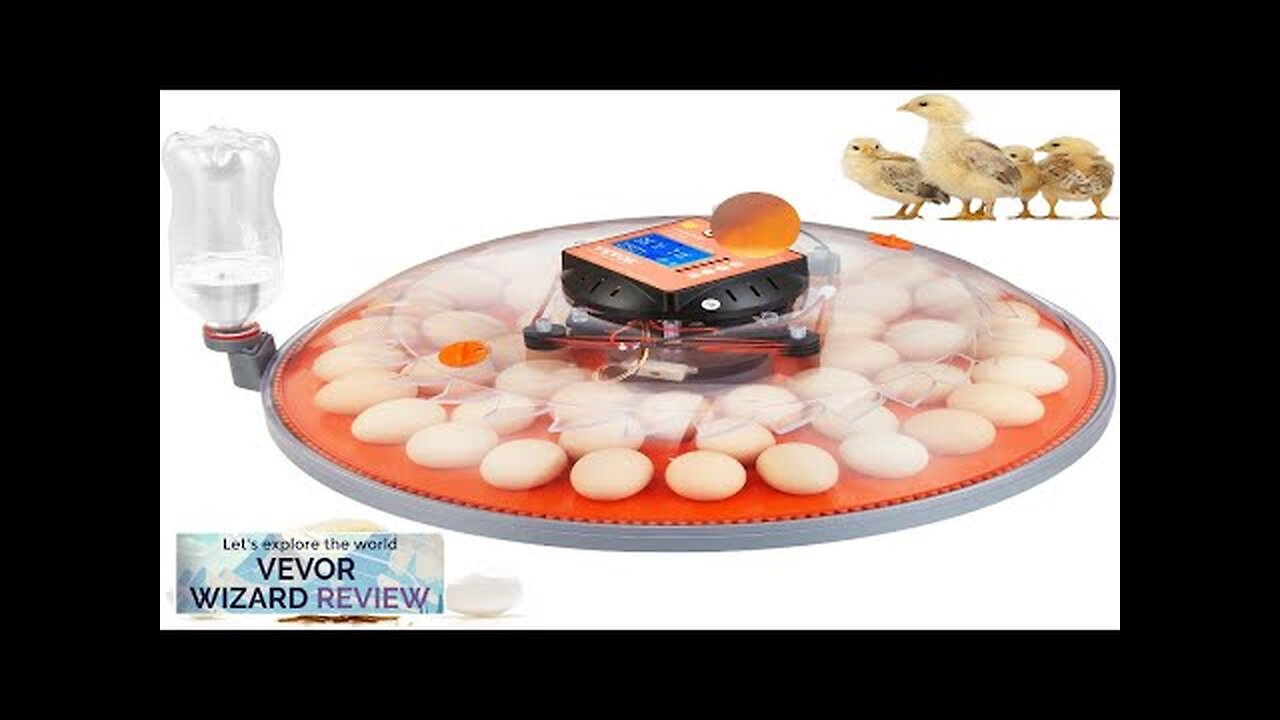 VEVOR 48 Egg Incubator Incubators for Hatching Eggs 360° Automatic Egg Turner Review