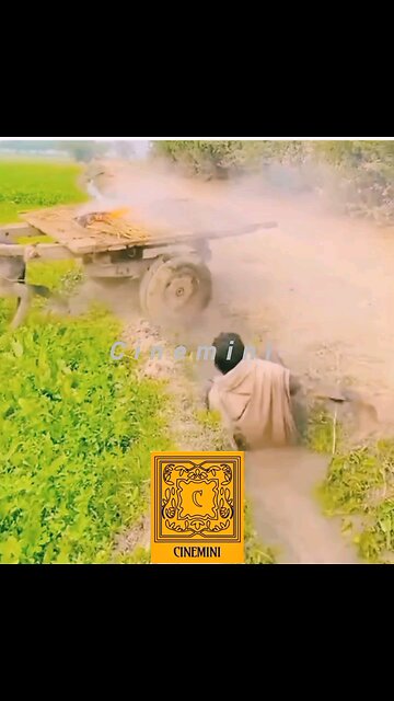 LIVE INDIANA FUNNY VIDEO