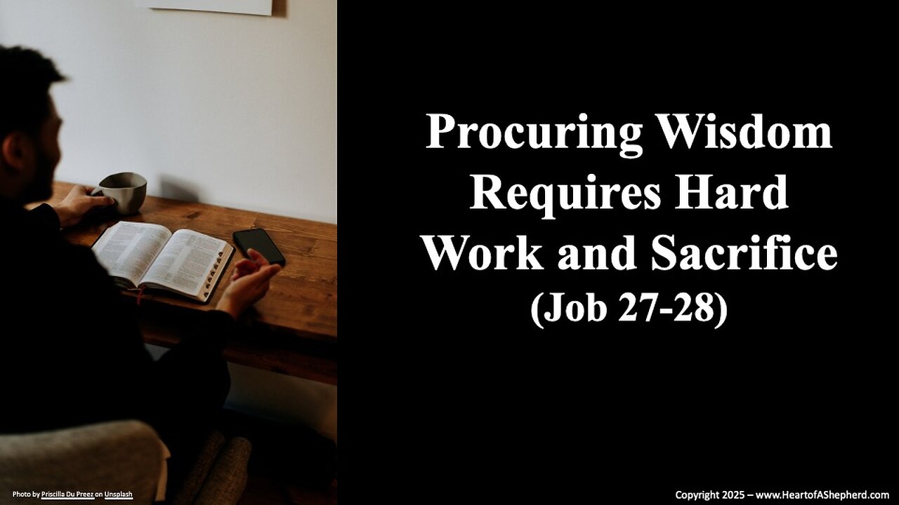 Procuring Wisdom Requires Hard Work and Sacrifice (Job 27-28) from www.HeartofAShepherd.com.