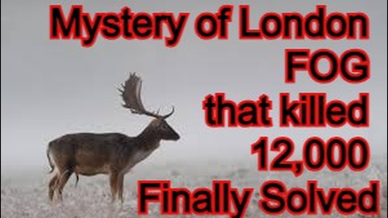 Mystery of London fog that killed 12,000 finally solved