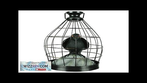 Crow In Cage Animated Decoration Review