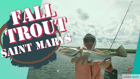 Fall Speckled Trout Fishing Saint Mary's GA