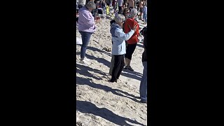 Polar Plunge or Dip in Gulf Shores NY Day 2025