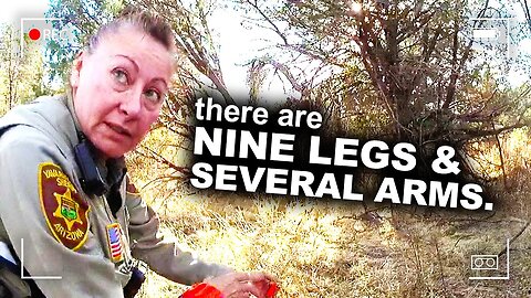 Hunter Discovers 29 Human Body Parts in the Desert @RealCrime #murder #news
