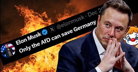 Warum die linksradikalen Marionetten Elon Musk verachten