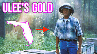 Ulee's Gold (1997) EXPOSED: Confederate Treasure, Honeybees & The KGC