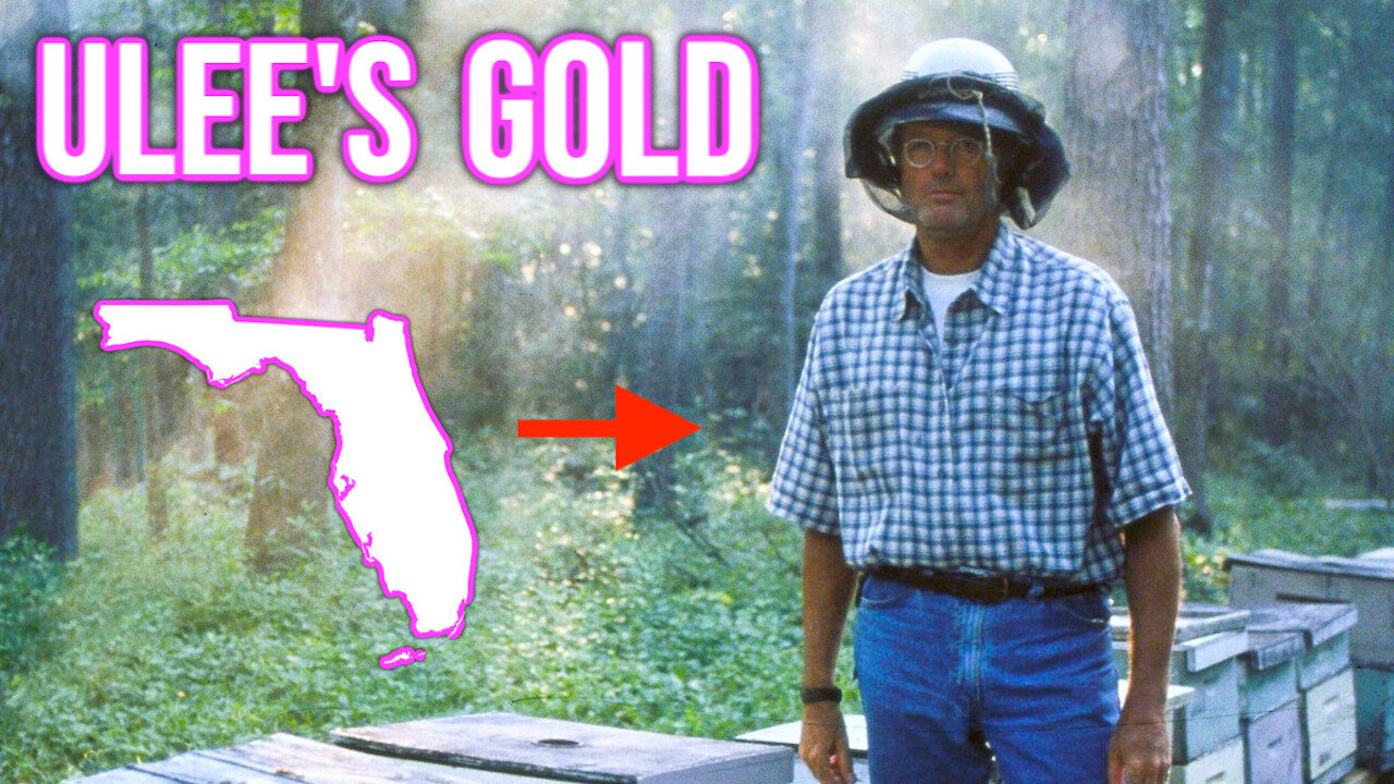 Ulee's Gold (1997) EXPOSED: Confederate Treasure, Honeybees & The KGC