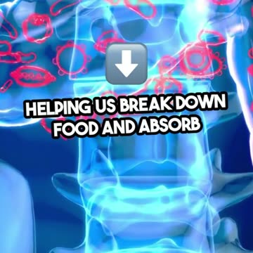 Unlock the Power of Good Gut Bacteria!