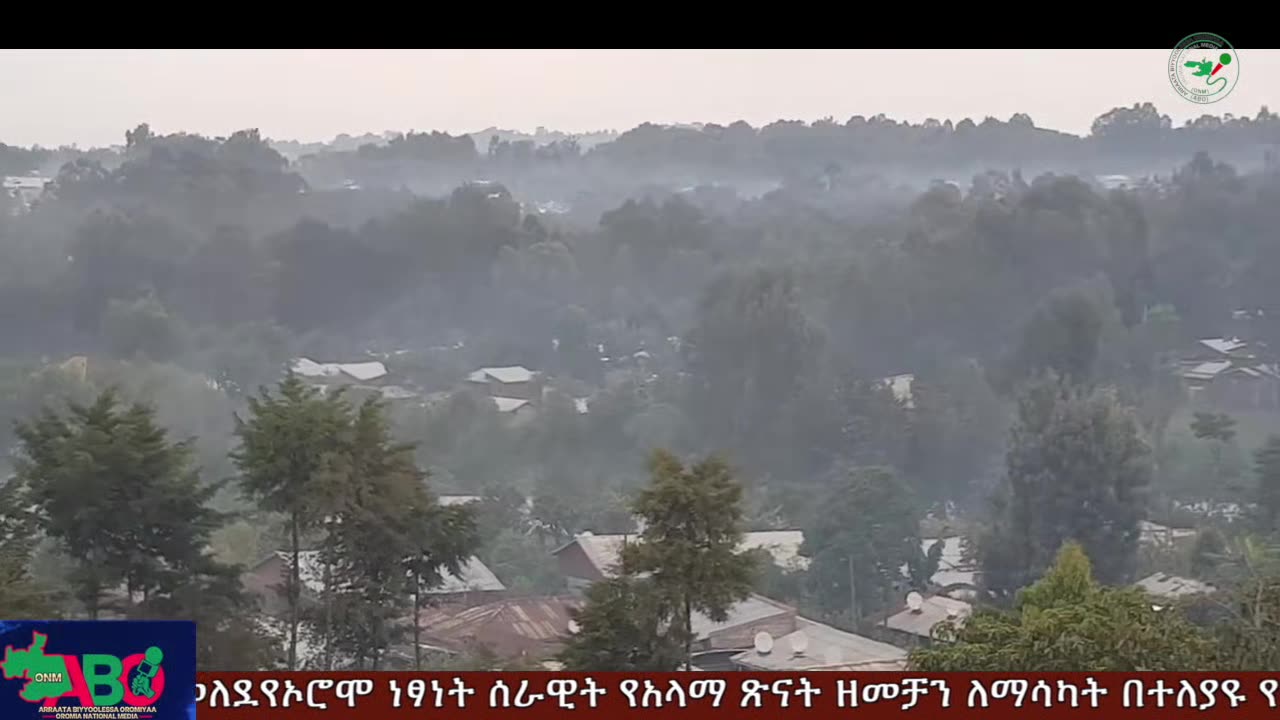 ጥር 9-2025 ONM-ABO እለታዊ የኦሮሞ ነፃነት ሰራዊትና የኦሮሚያ ውሎ!