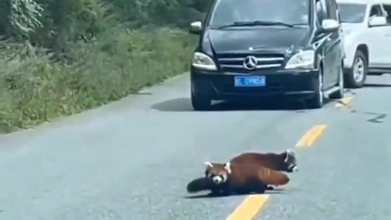 A traffic jam in China...