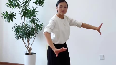 646.晃樁腿法