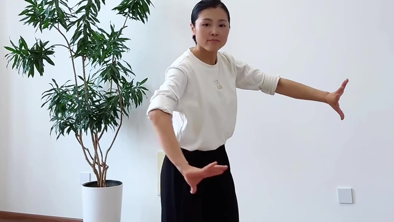 646.晃樁腿法