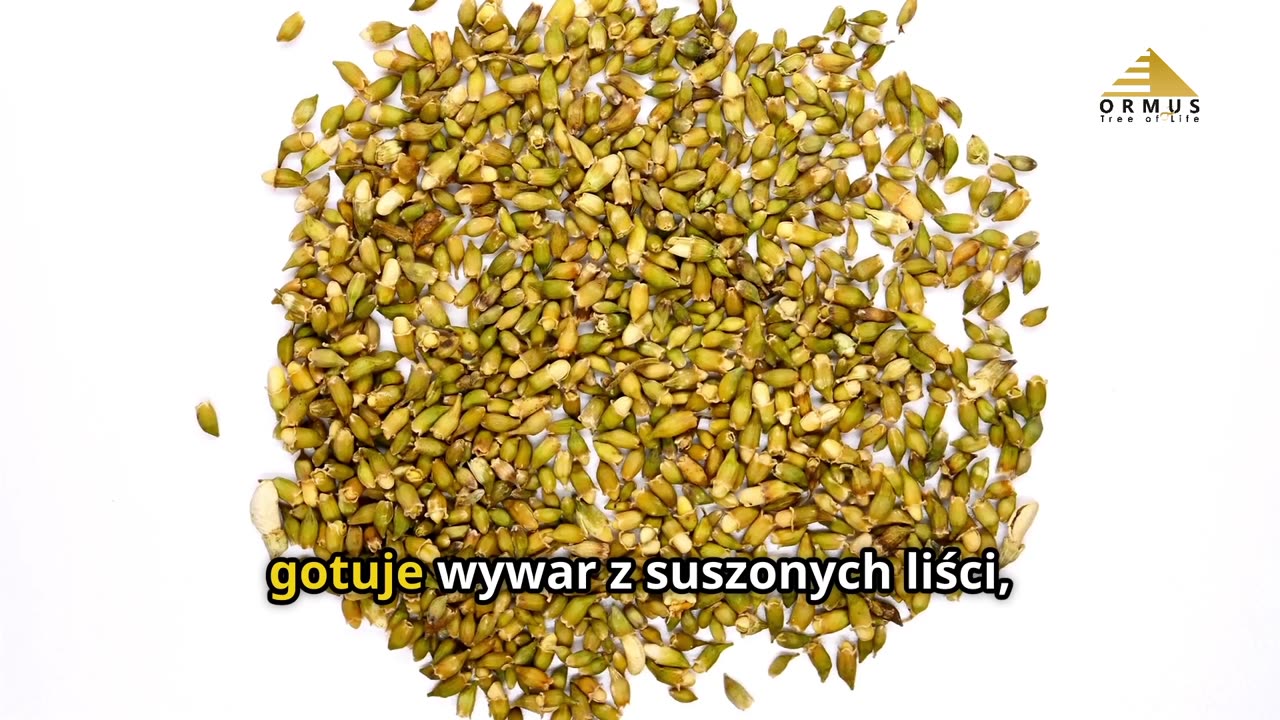 Sekret Afrykańskiego Żeń-Szenia! 🌿 Czy To Najsilniejszy Adaptogen?