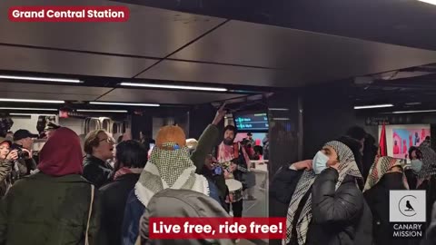 Pro-Hamas WOLPalestine chants in NYC subway 'Live free, ride free! F**k the NYPD!'