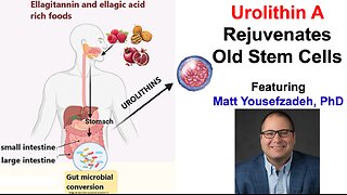 Urolithin A Rejuvenates Old Stem Cells