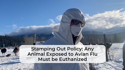 Clip #6: Stamping Out Policy: Any Animal Exposed to Avian Flu Must be Euthanized